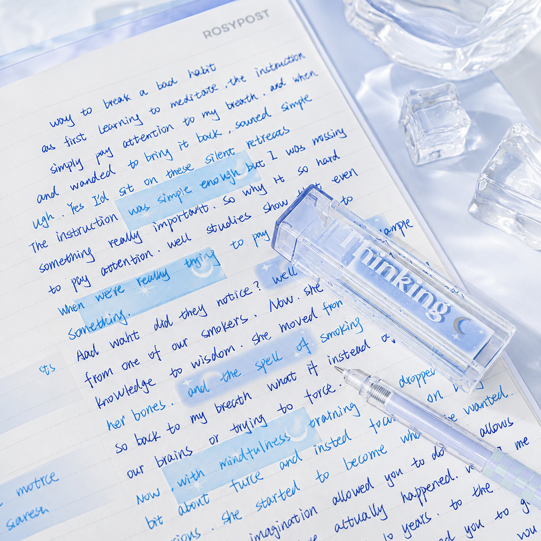 ROSYPOSY Lip Gloss Style Translucent PET Index Tabs Set by ROSYPOSY - color option view for aesthetic stationery | Lumiyear